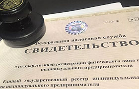 Правовая позиция Совета Адвокатской палаты Новосибирской области «О возможности регистрации адвокатов в качестве индивидуальных предпринимателей»